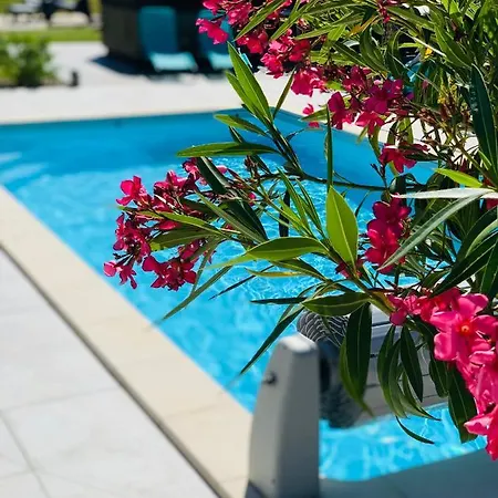 En Toute Simplicite *